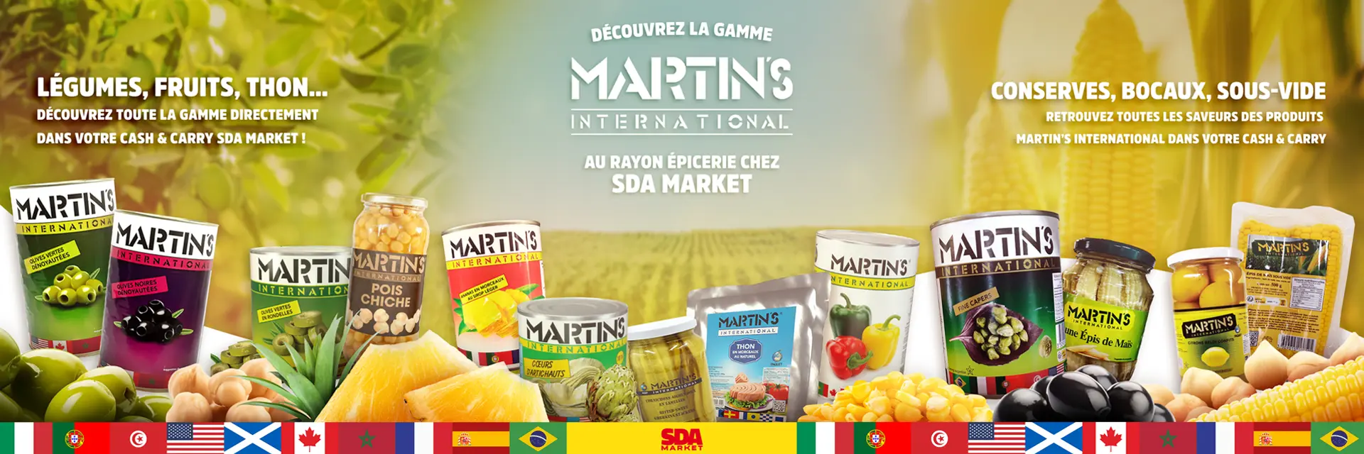 Bannière lancement Martin's International